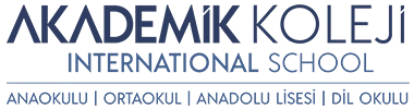 Akademik Koleji